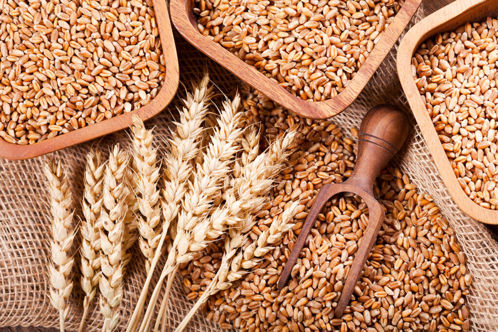 Eat More Wholegrains Daily for Healthy Aging