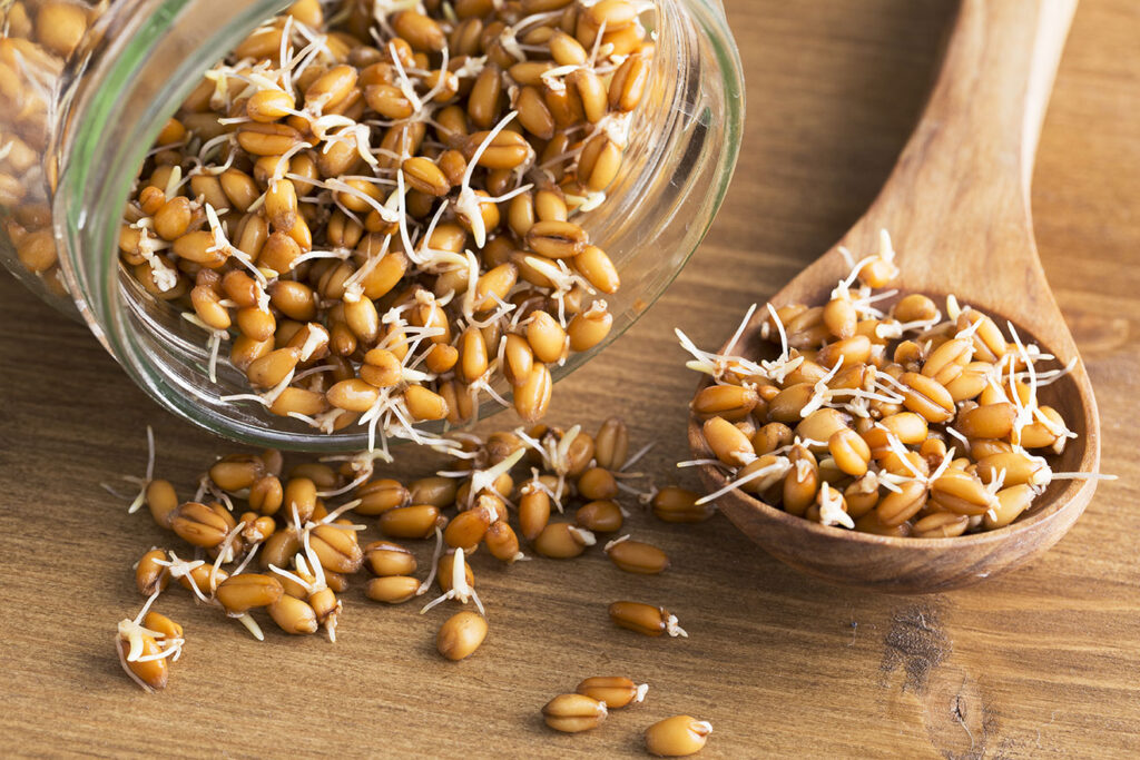Sprouted Grains: The New Superfood